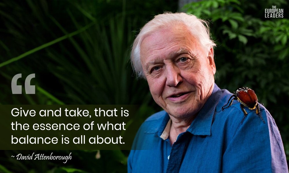 David Attenborough Quotes That Redefine Nature & Humanity
